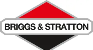 Briggs & Stratton